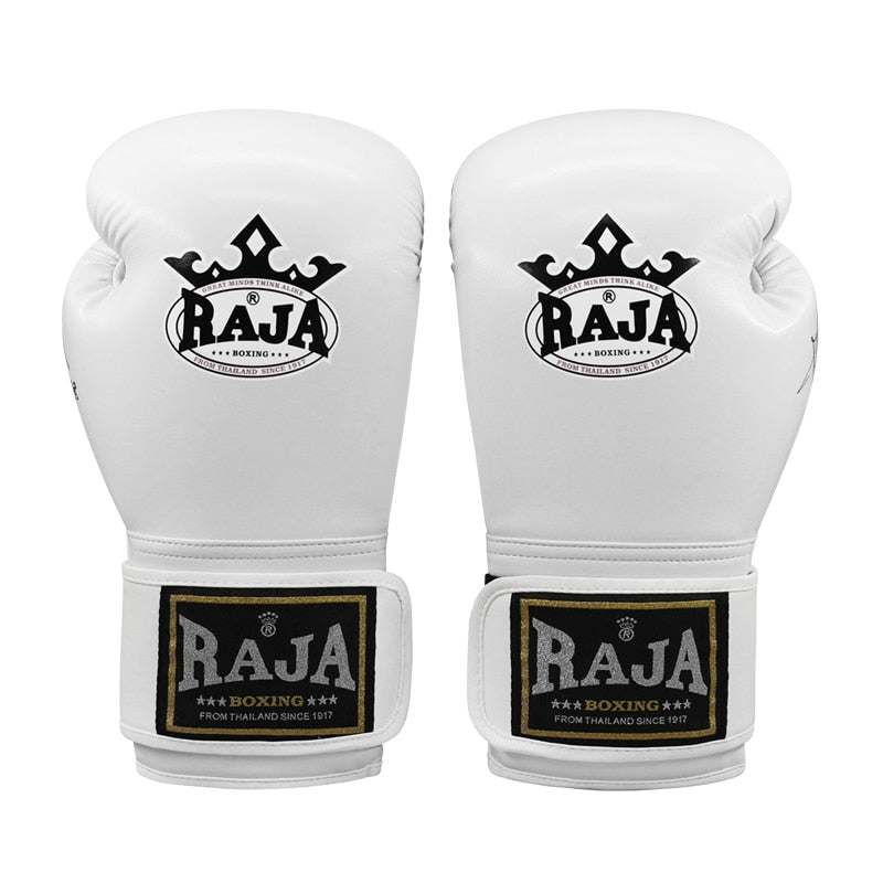 Muay Thai Boxing Gloves Adult Free Martial Arts