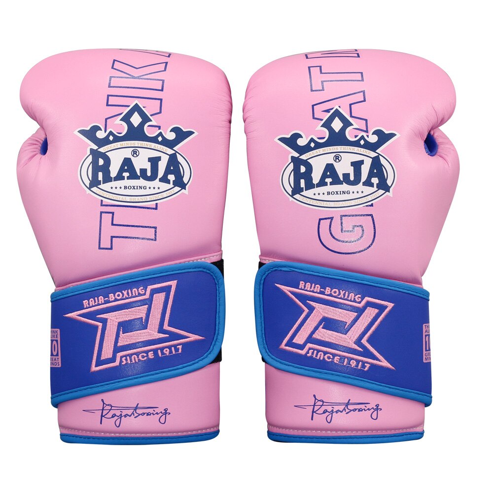 Muay Thai Boxing Gloves Adult Free Martial Arts