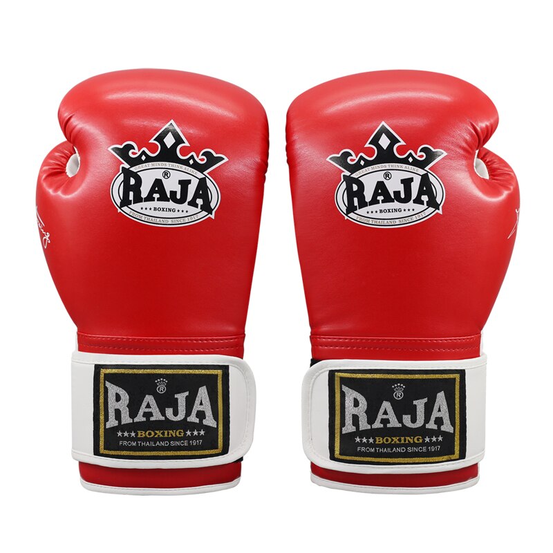 Muay Thai Boxing Gloves Adult Free Martial Arts