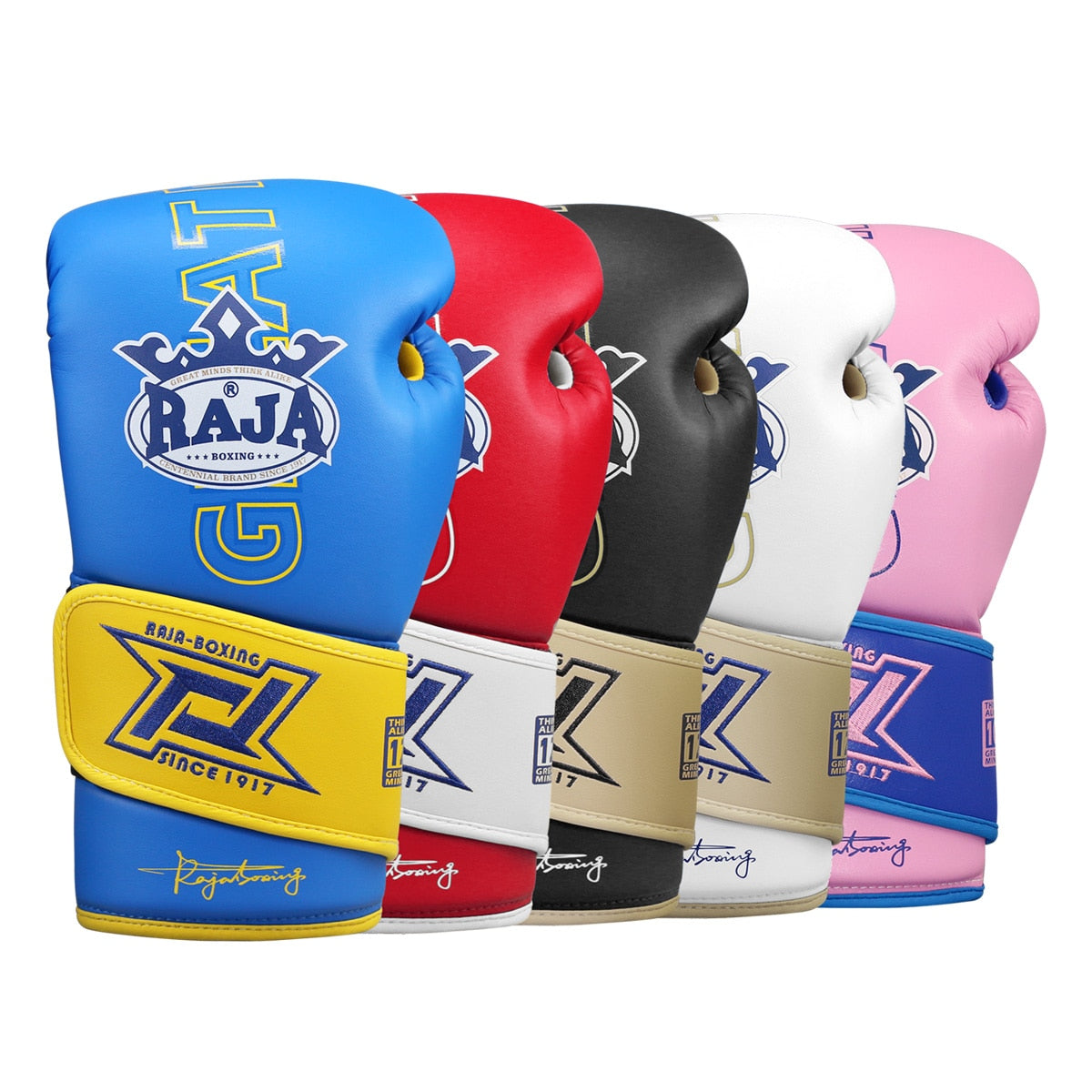 Muay Thai Boxing Gloves Adult Free Martial Arts