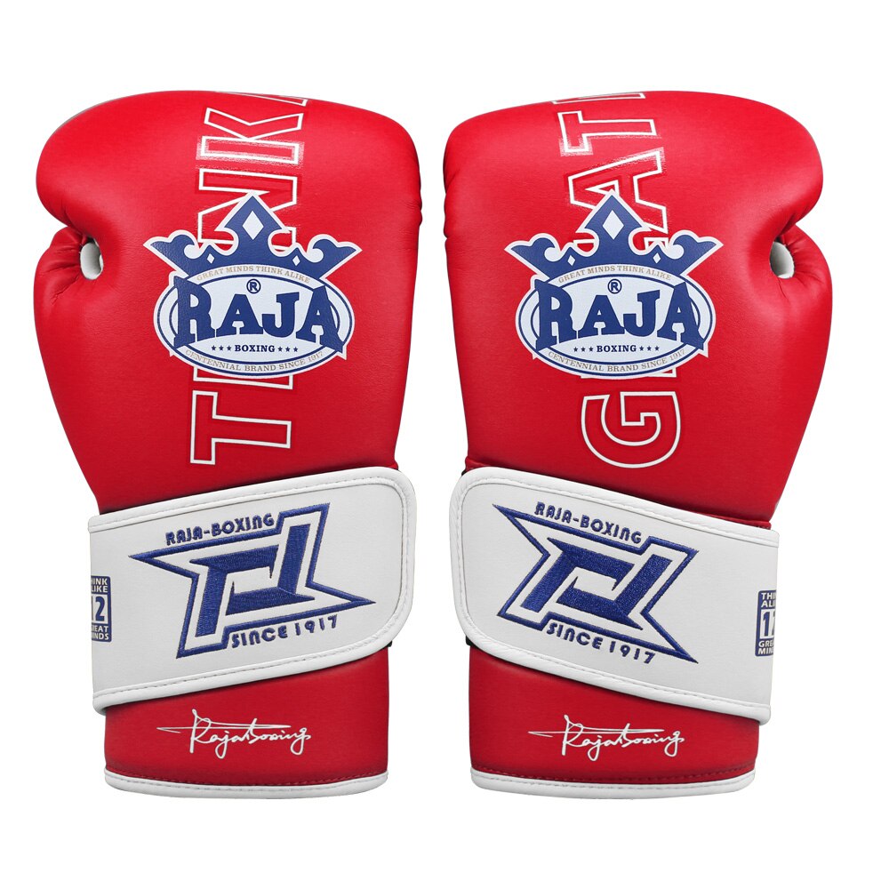 Muay Thai Boxing Gloves Adult Free Martial Arts