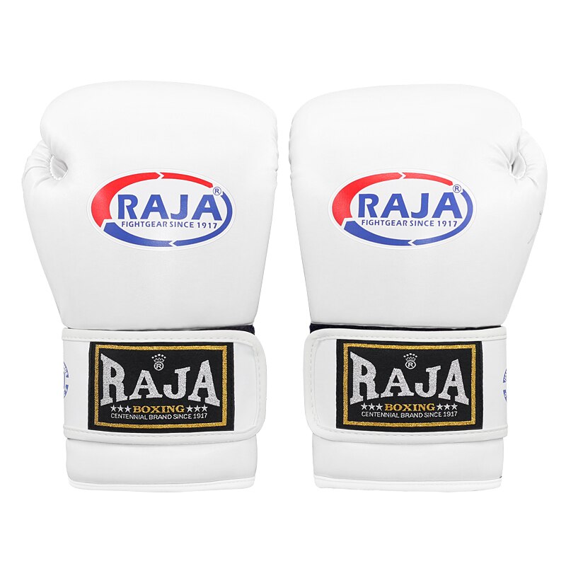 Muay Thai Boxing Gloves Adult Free Martial Arts